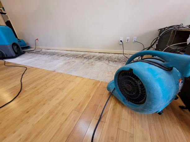 Professional Emergency Water Damage technician working in New Hampton, IA